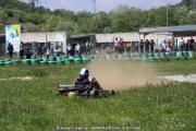 20110501_ales_agnus (3033)